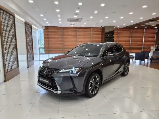 2024 Lexus UX 2.0 AWD
