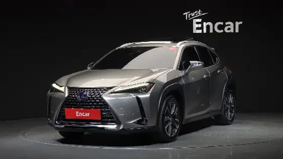 2019 Lexus UX 2.0 AWD