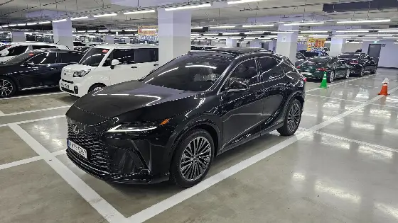 2026 Lexus RX Luxury