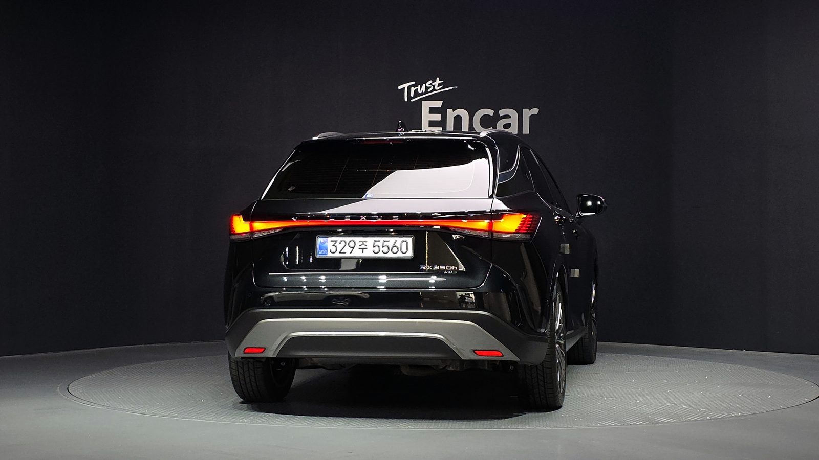 2025 Lexus RX