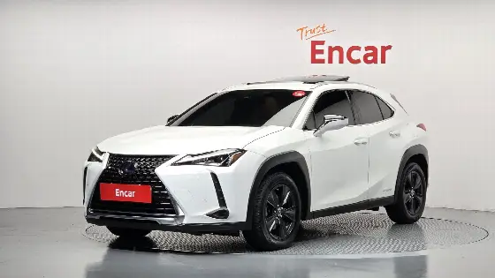 2021 Lexus UX 2.0 2WD