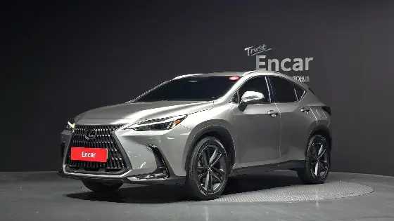 2023 Lexus NX Premium