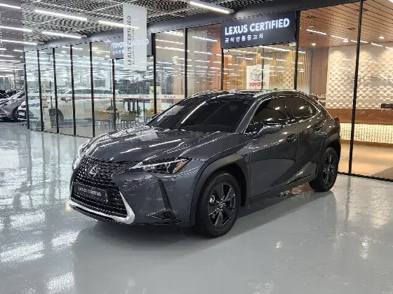 2025 Lexus UX 2.0 2WD
