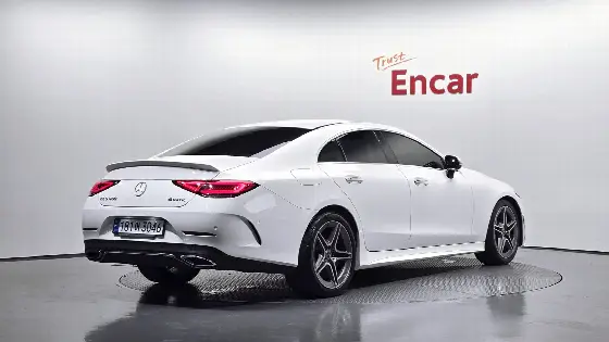 2019 Mercedes-Benz CLS-Class CLS300d AMG Line