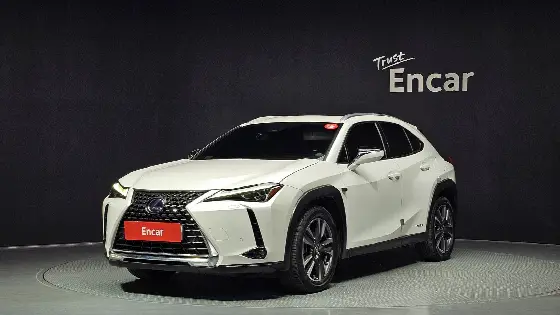 2019 Lexus UX 2.0 AWD