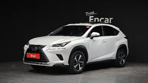 2019 Lexus NX Supreme