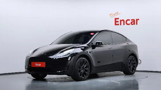 2023 Tesla Model Y RWD