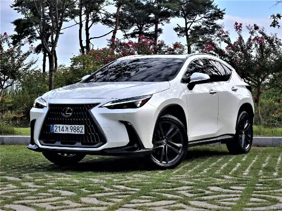 2025 Lexus NX Premium