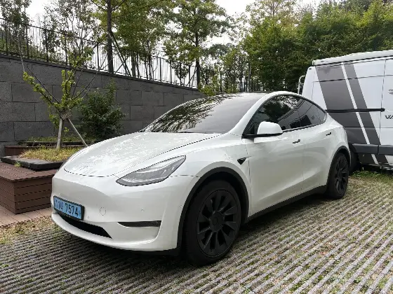 2021 Tesla Model Y Standard Range RWD