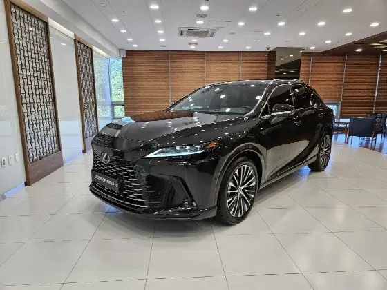2025 Lexus RX Luxury