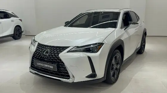 2025 Lexus UX 2.0 2WD