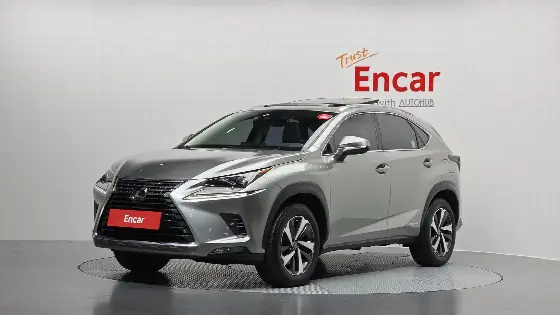 2021 Lexus NX Executive
