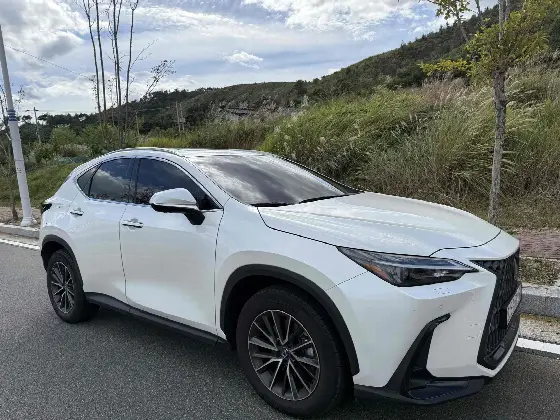 2024 Lexus NX Premium