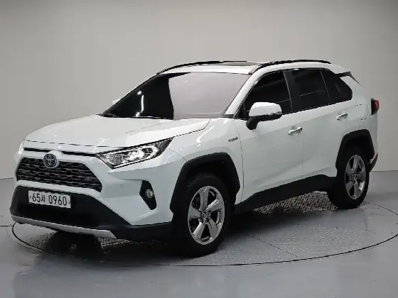 2019 Toyota RAV4 2,5 4WD Hybrid LTD