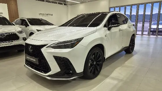 2025 Lexus NX F-Sport
