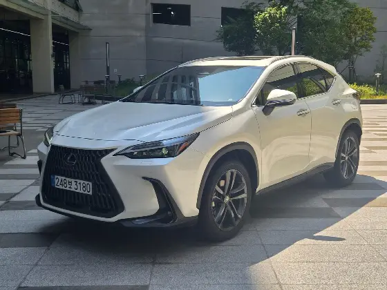 2025 Lexus NX Premium