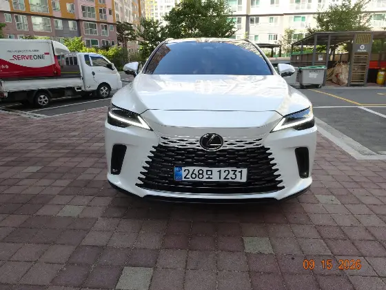 2025 Lexus RX Luxury