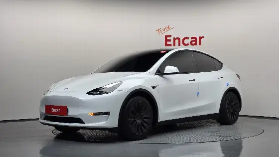 2021 Tesla Model Y Standard Range RWD