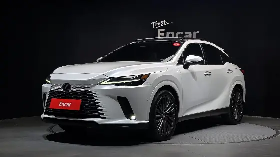 2025 Lexus RX Luxury