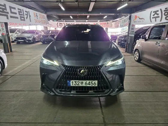 2023 Lexus NX Premium