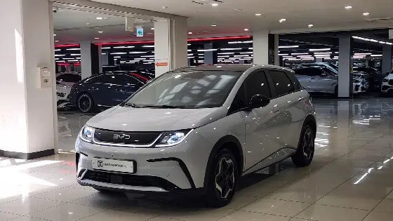 2026 BYD Dolphin Base