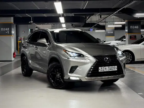 2019 Lexus NX Supreme
