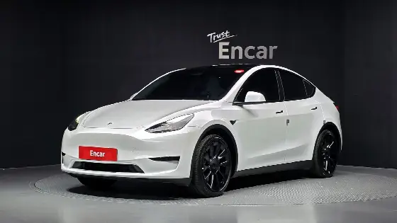 2023 Tesla Model Y RWD