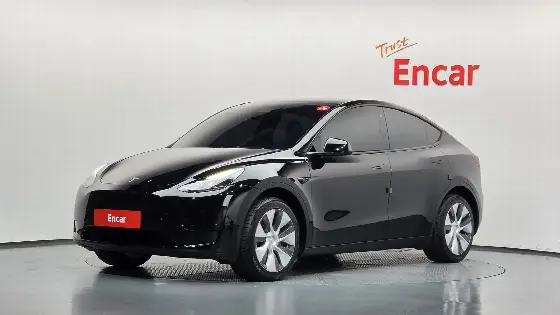 2023 Tesla Model Y RWD