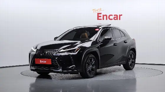 2023 Lexus UX 2.0 2WD