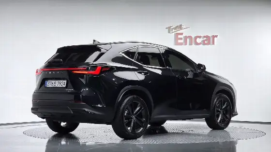 2025 Lexus NX Premium