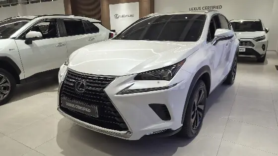2021 Lexus NX Executive