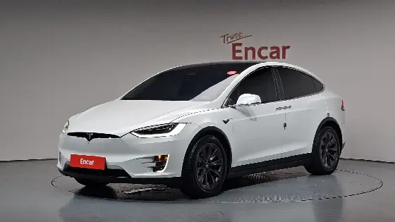 2019 Tesla Model X 100D