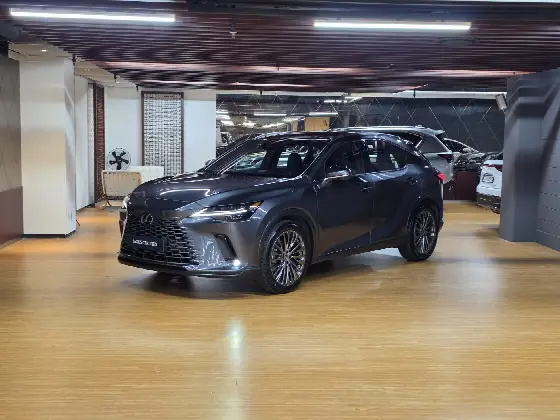 2025 Lexus RX Luxury