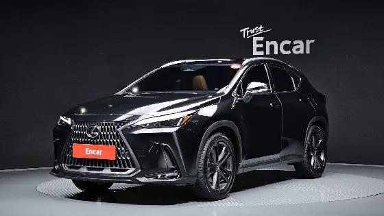 2025 Lexus NX Premium