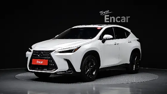 2025 Lexus NX Premium