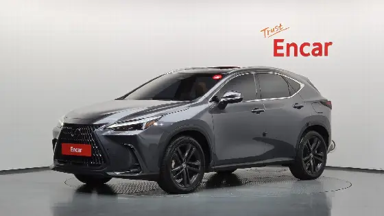 2023 Lexus NX Premium