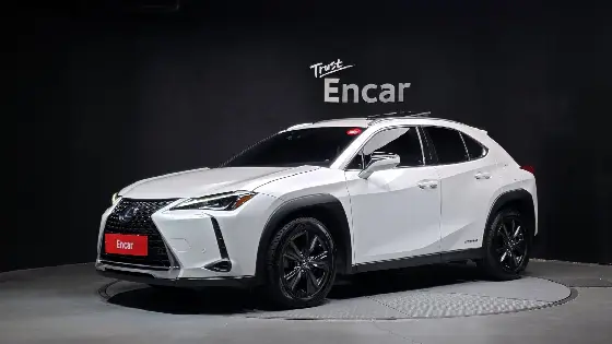 2021 Lexus UX 2.0 2WD