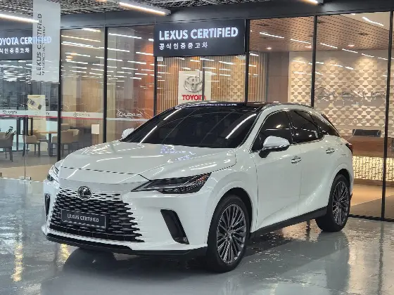 2025 Lexus RX Luxury