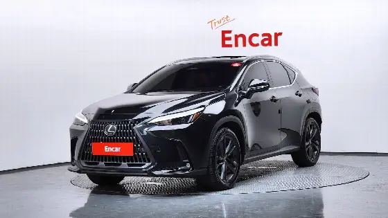 2025 Lexus NX Premium